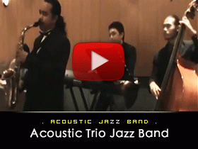 Acoustic Trio Jazz Band